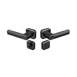 The New Philips DDL101-3HBS Smart Door Lock